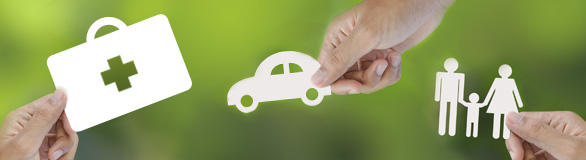 Seguro de Daños y Seguros Básicos