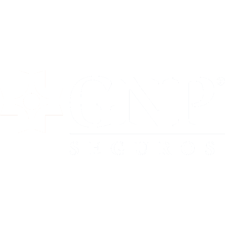 GNP